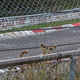 Illustration for article titled The Nürburgring Nordschleife Is Not That Scary